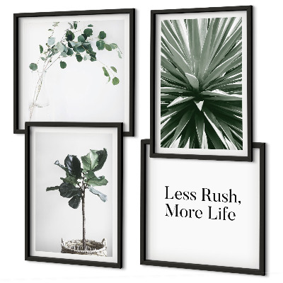Meerluik in lijst Groene planten minimalisme
