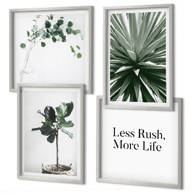 Meerluik in lijst Groene planten minimalisme