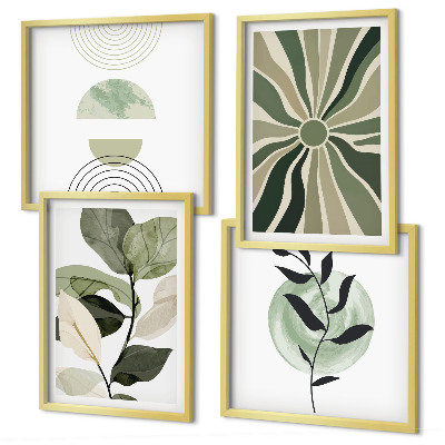 Meerluik in lijst Geometrische vormen van planten