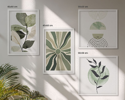 Meerluik in lijst Geometrische vormen van planten