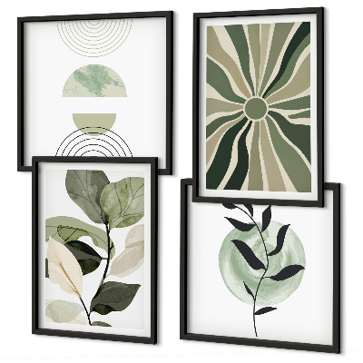 Meerluik in lijst Geometrische vormen van planten