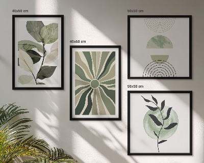 Meerluik in lijst Geometrische vormen van planten