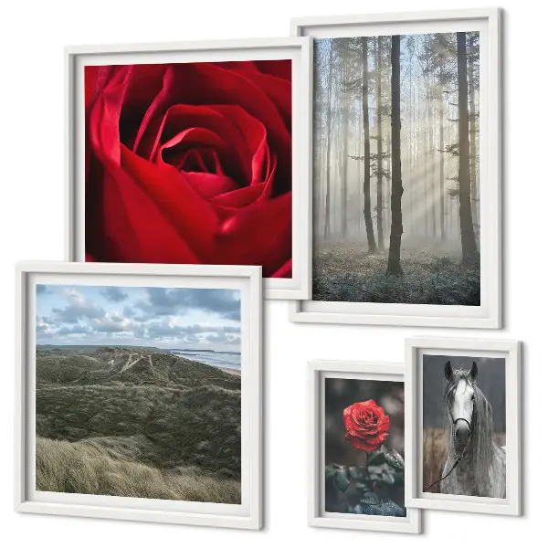 Wanddecoratie compositie met natuurlijke bloemen in verschillende stijlen