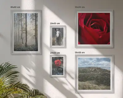 Wanddecoratie compositie met natuurlijke bloemen in verschillende stijlen
