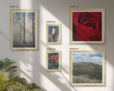 Wanddecoratie compositie met natuurlijke bloemen in verschillende stijlen