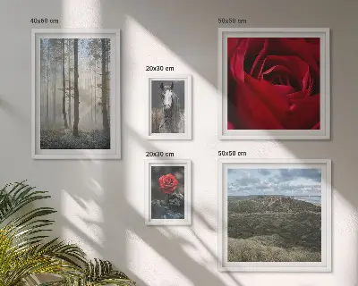 Wanddecoratie compositie met natuurlijke bloemen in verschillende stijlen