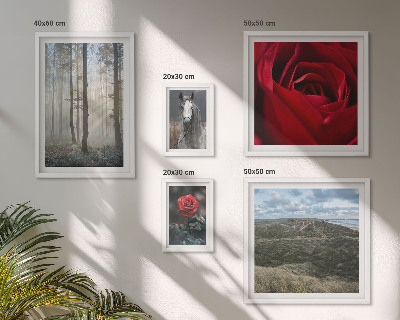 Wanddecoratie compositie Natuurlijke bloemen in verschillende stijlen