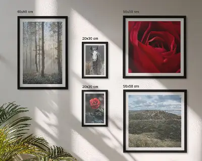 Wanddecoratie compositie met natuurlijke bloemen in verschillende stijlen
