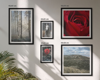 Wanddecoratie compositie Natuurlijke bloemen in verschillende stijlen