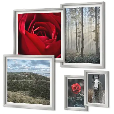 Wanddecoratie compositie met natuurlijke bloemen in verschillende stijlen