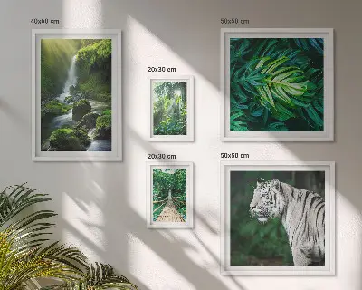 Wanddecoratie compositie Tropische natuurlandschappen