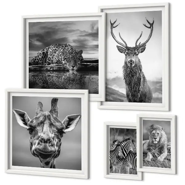 Wanddecoratie compositie Zwart-witte dieren in de natuur