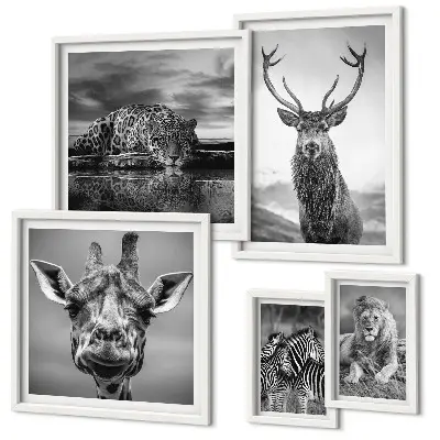 Wanddecoratie compositie Zwart-witte dieren in de natuur