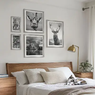 Wanddecoratie compositie Zwart-witte dieren in de natuur