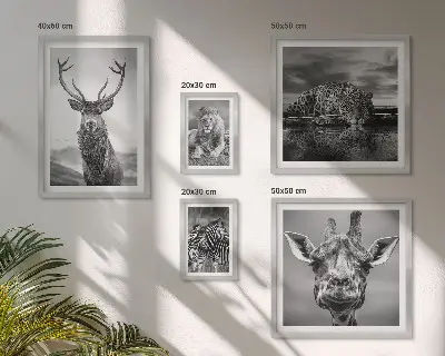 Wanddecoratie compositie Zwart-witte dieren in de natuur
