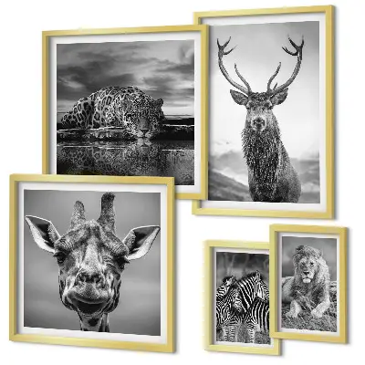 Wanddecoratie compositie Zwart-witte dieren in de natuur