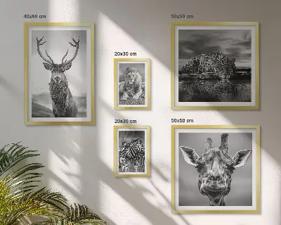 Wanddecoratie compositie Zwart-witte dieren in de natuur