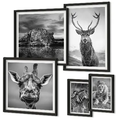 Wanddecoratie compositie Zwart-witte dieren in de natuur