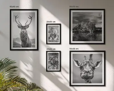 Wanddecoratie compositie Zwart-witte dieren in de natuur