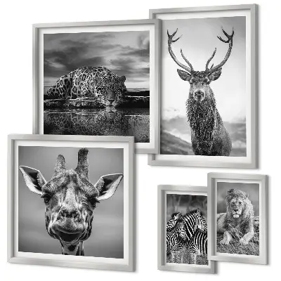 Wanddecoratie compositie Zwart-witte dieren in de natuur