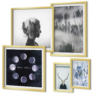 Wanddecoratie compositie Motieven van natuurlijke bosruimtes