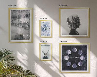 Wanddecoratie compositie Motieven van natuurlijke bosruimtes