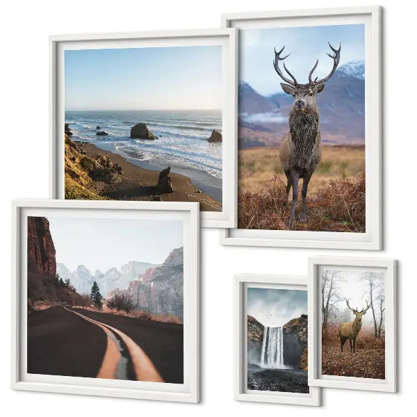 Fotowand met natuur, wilde dieren en landschappen