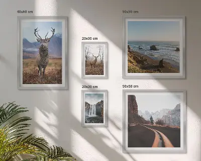 Fotowand met natuur, wilde dieren en landschappen