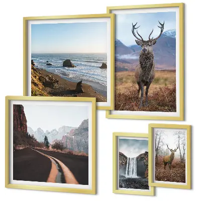 Fotowand met natuur, wilde dieren en landschappen