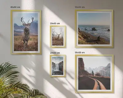 Fotowand met natuur, wilde dieren en landschappen