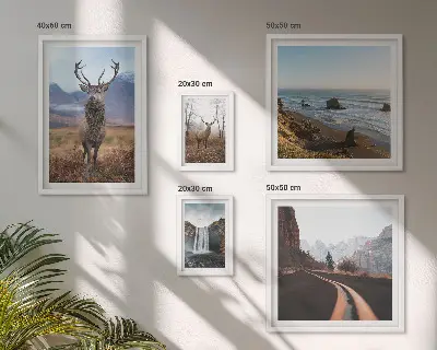 Fotowand met natuur, wilde dieren en landschappen
