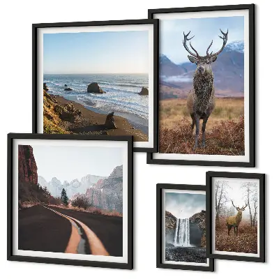 Fotowand met natuur, wilde dieren en landschappen