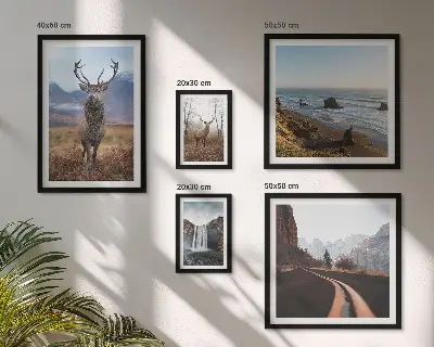 Fotowand met natuur, wilde dieren en landschappen