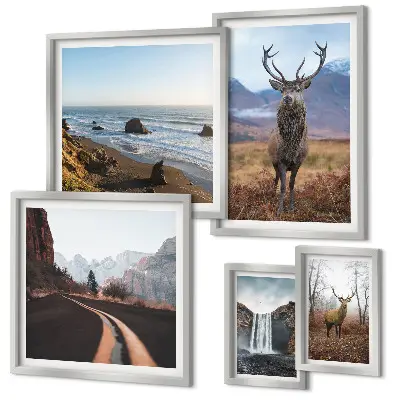 Fotowand met natuur, wilde dieren en landschappen