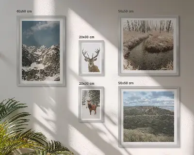 Wanddecoratie compositie wilde natuur met majestueuze bergen