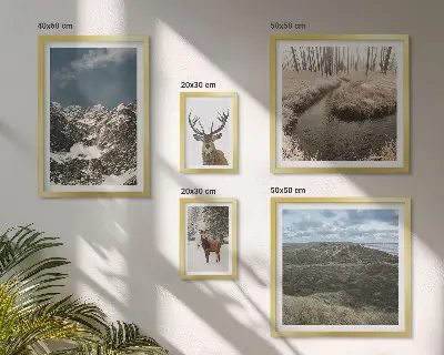 Wanddecoratie compositie wilde natuur met majestueuze bergen