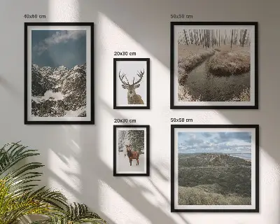 Wanddecoratie compositie wilde natuur met majestueuze bergen
