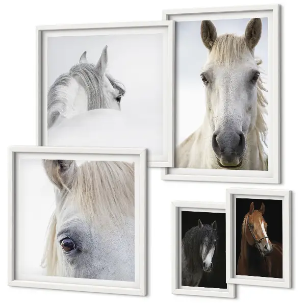 Gallery wall Paardenportretten in artistieke stijlen
