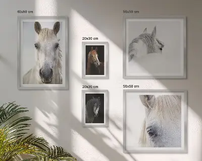 Gallery wall Paardenportretten in artistieke stijlen