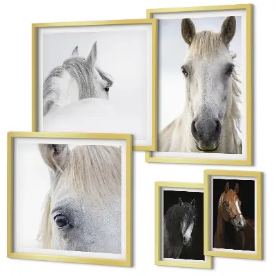 Gallery wall Paardenportretten in artistieke stijlen