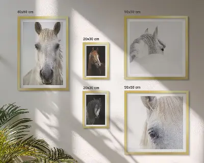 Gallery wall Paardenportretten in artistieke stijlen