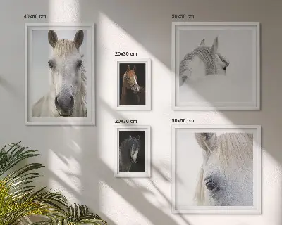Gallery wall Paardenportretten in artistieke stijlen