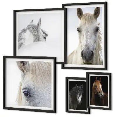 Gallery wall Paardenportretten in artistieke stijlen
