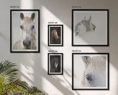 Gallery wall Paardenportretten in artistieke stijlen