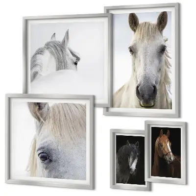 Gallery wall Paardenportretten in artistieke stijlen