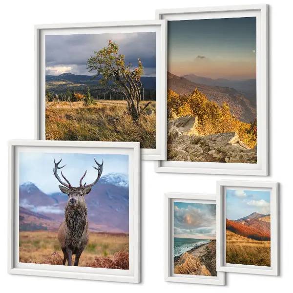 Set van moderne schilderijen met berglandschappen en wilde dieren