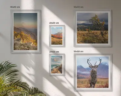 Set van moderne schilderijen met berglandschappen en wilde dieren