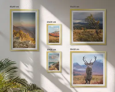 Set van moderne schilderijen met berglandschappen en wilde dieren