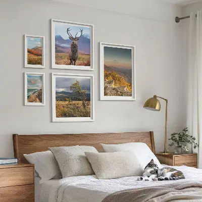 Set van moderne schilderijen met berglandschappen en wilde dieren