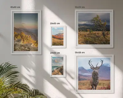 Set van moderne schilderijen met berglandschappen en wilde dieren